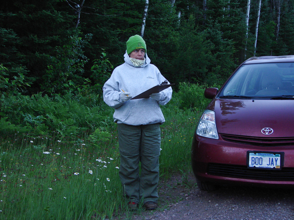 Breeding Bird Survey