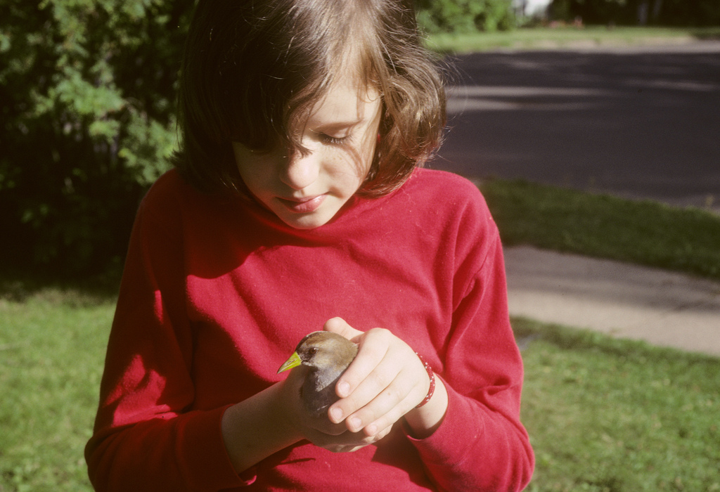 Rescuing a Sora