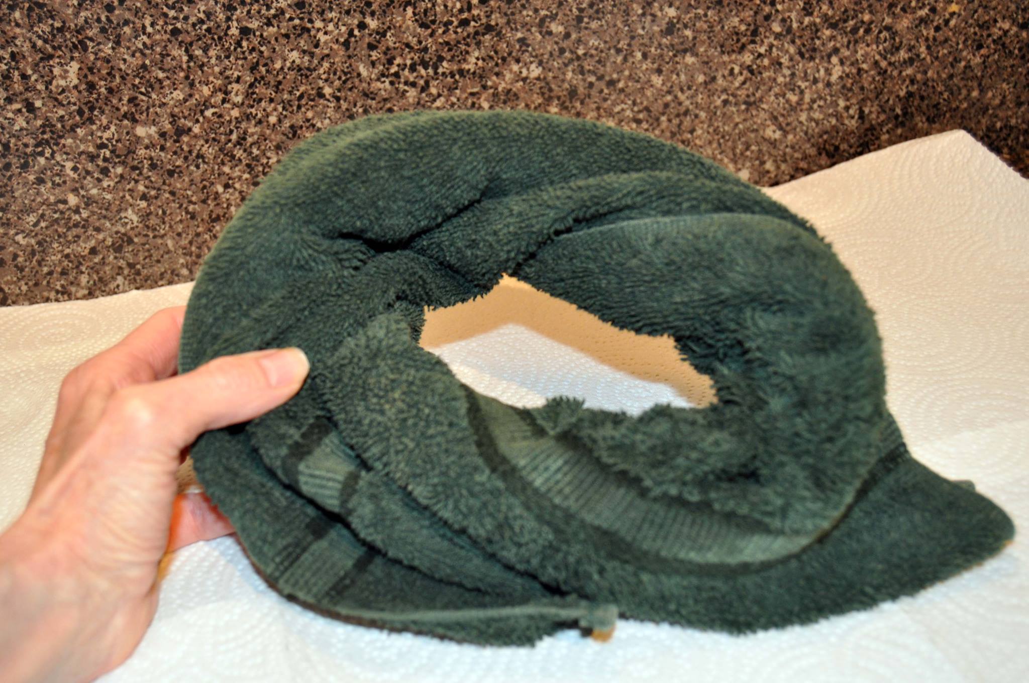 Towel folded in a donut shape for a recovering bird