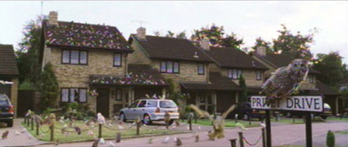 The many owls descending upon Privet Drive