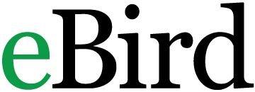 eBird logo