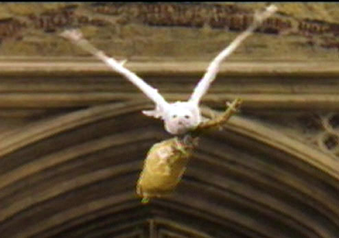 Hedwig delivering Harry's Nimbus 2000