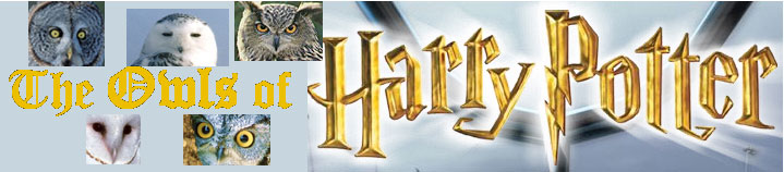 The Owls of Harry Potter BANNER