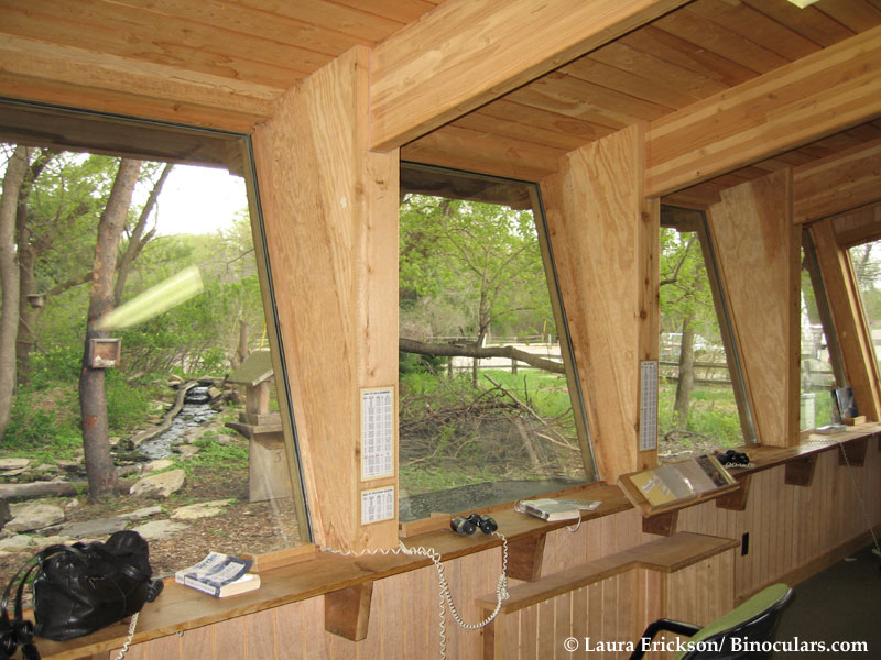 Angled window at Quarry Hill Nature Center in Rochester, MN