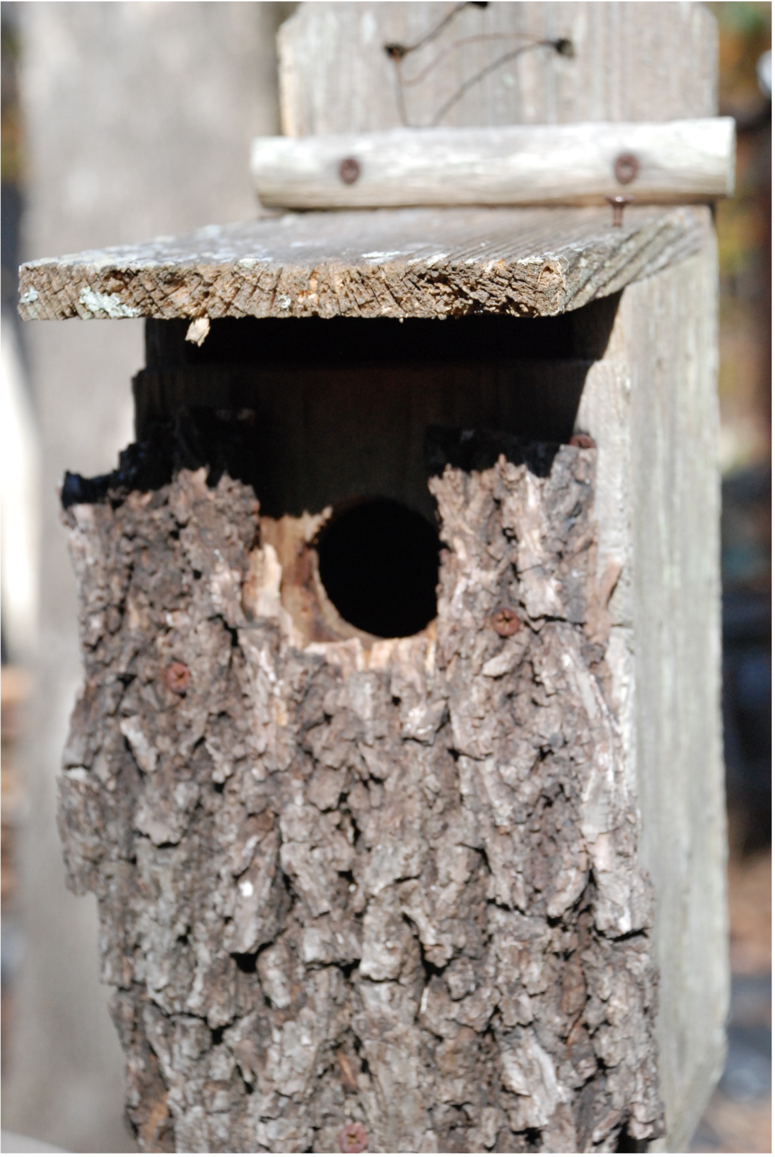 Bark nest box, photo by Jerry Wayne Davis
